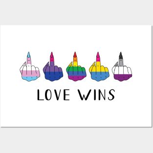 Love wins Posters and Art